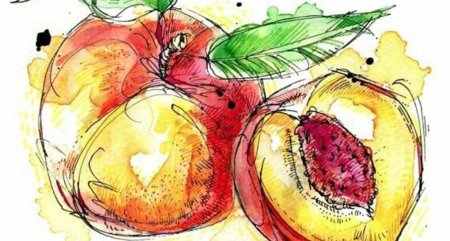 Фрукты акварелью