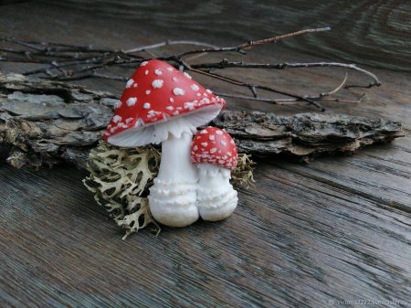 Брошь мухомор