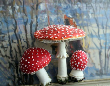 Мухомор в саду