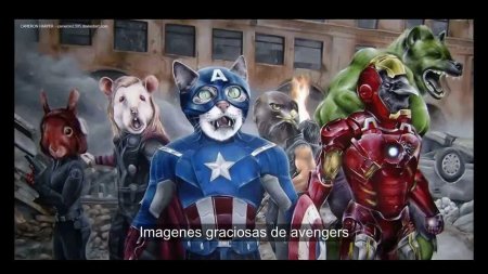 Коты Марвел