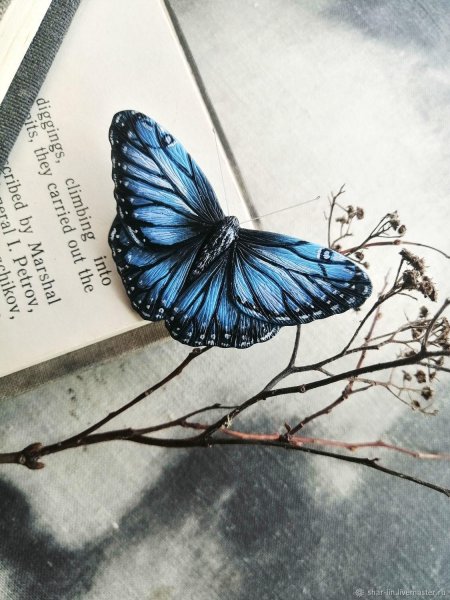 Морфо бабочка Эстетика