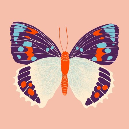 Яркие рисунки бабочки