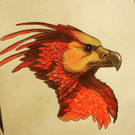 Рисунки феникса
