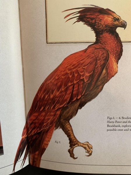 Птица фоукс из гарри поттера