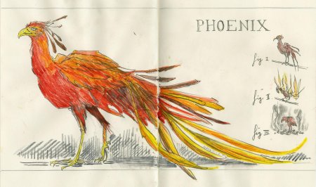 Птица феникс гарри поттер