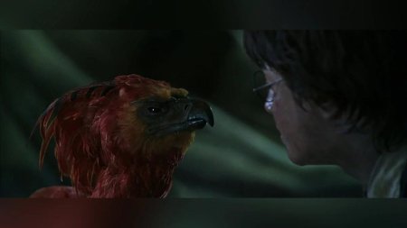 Гарри поттер феникс