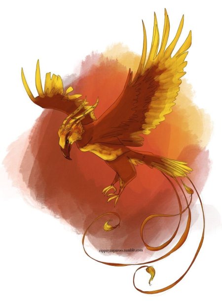 Рисунки феникса