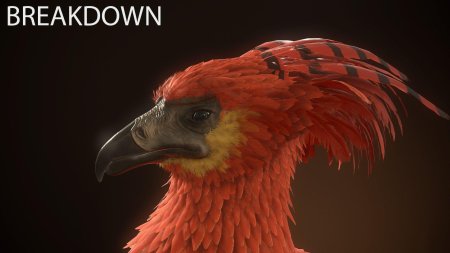 Феникс Фоукс из Гарри Поттера