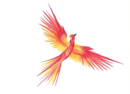 Рисунки феникса