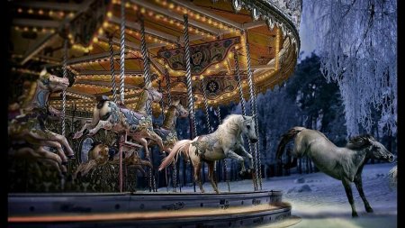 Зимняя карусель