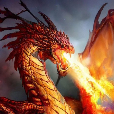 Дракон огнедышащий
