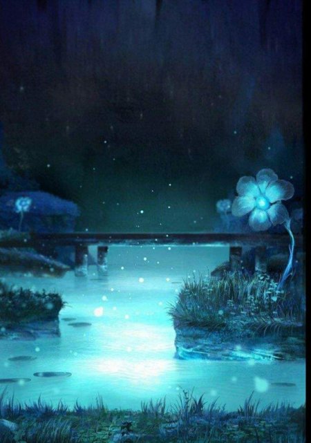 Эхо цветы андертейл