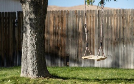 Старые деревянные качели