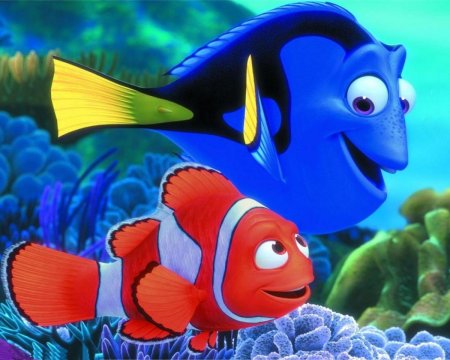 Дори и Немо мультфильм