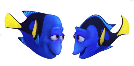 Маленькая дори