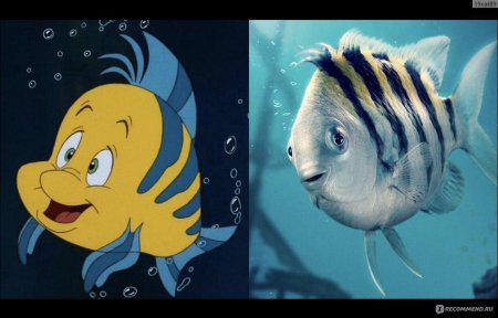 Флаундер Русалочка 2023