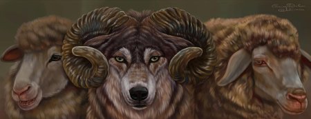 Фото барана