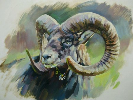 Живопись горный баран Архар