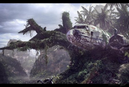 Самолет в джунглях