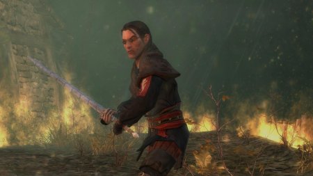 Профессор Ведьмак 1