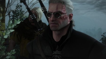 Ведьмак геральт в очках профессора