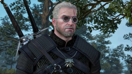 Очки профессора Ведьмак 3