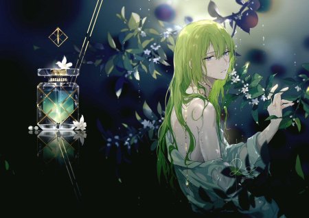 Энкиду Фейт