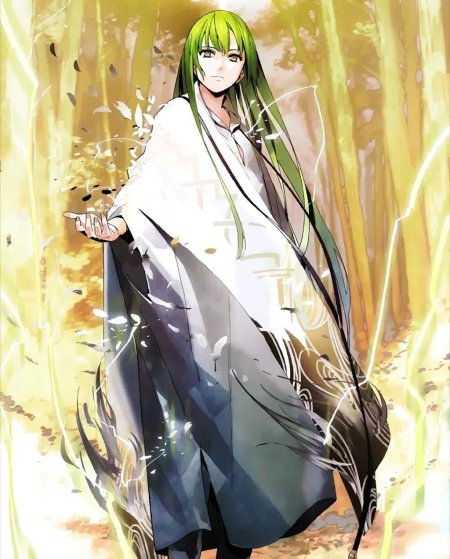 Энкиду Fate/Strange fake