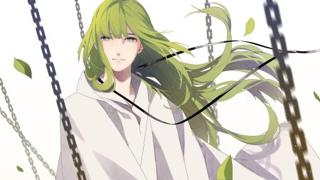 Энкиду Фейт цепи