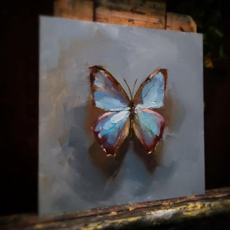 Линдси Кустуш бабочки