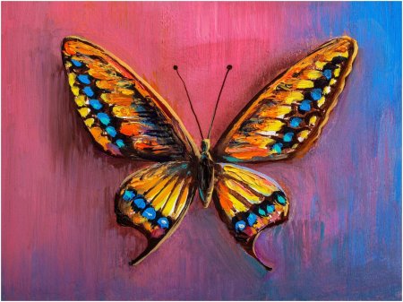 Бабочка рисунок красками