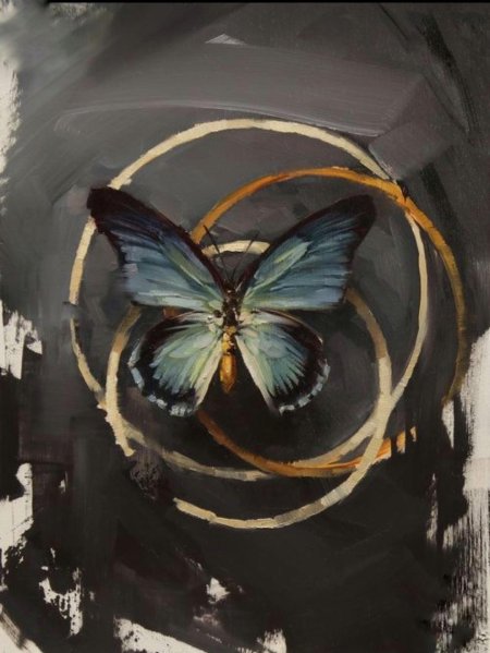 Линдси Кустуш бабочки