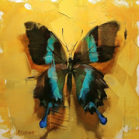 Линдси Кустуш бабочки