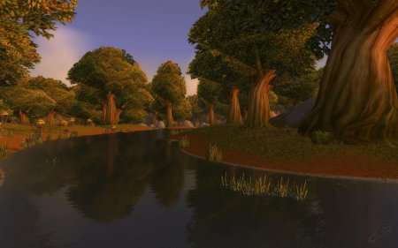 Элвинский лес wow