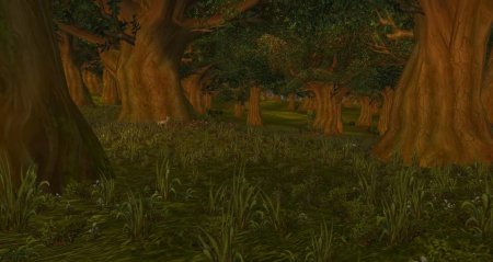 Элвинский лес ВОВ