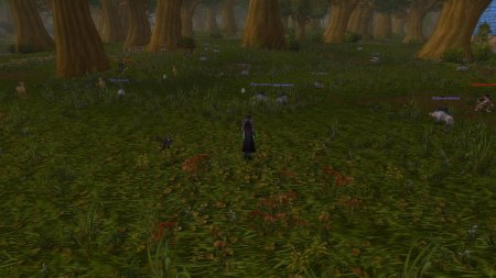 Элвинский лес карта