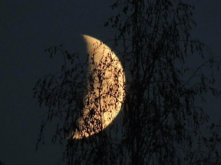 Половина Луны