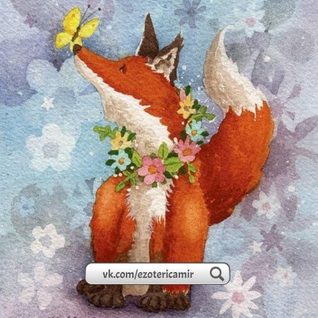 Katja Saario лисы