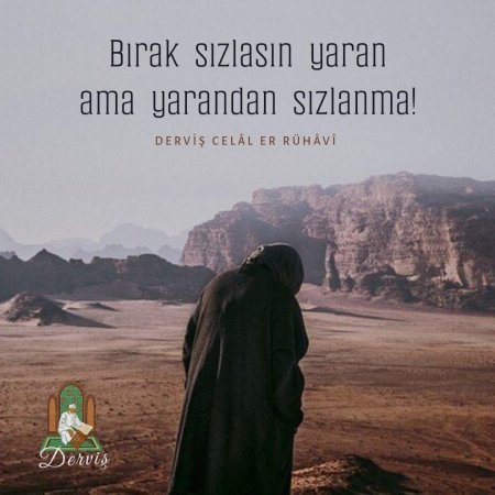 Семья Али ибн Абу Талиб