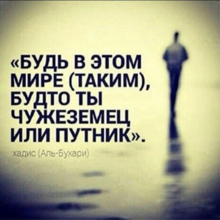 Путник хадис