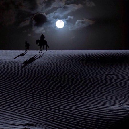 Странник в пустыне