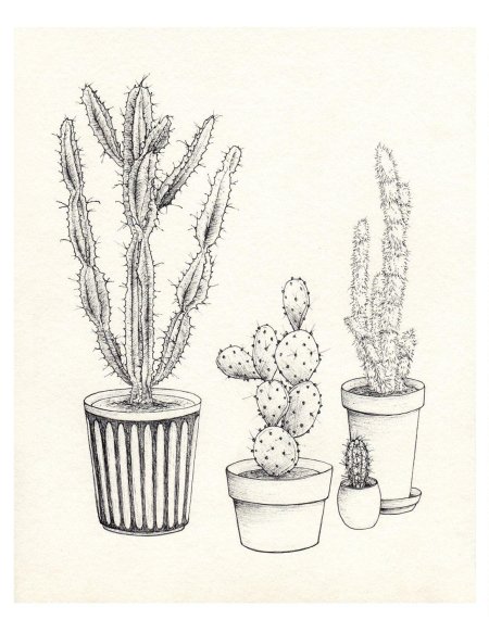 Наброски растений в горшке