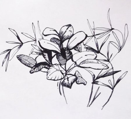 Графические зарисовки