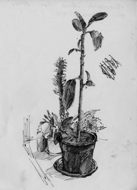 Академический рисунок пленэр