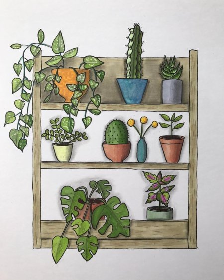 Уголок с растениями