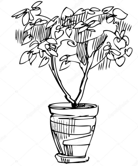 Набросок цветка в горшке