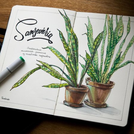 Растения маркерами