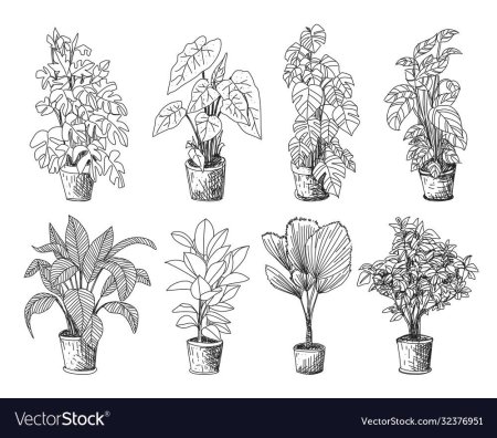 Растения картинки для печати