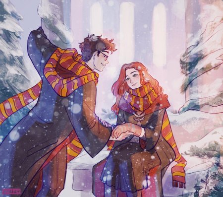 Джеймс и Лили Поттер арт