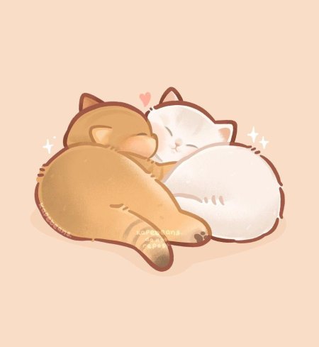 Кавайные котики парочка